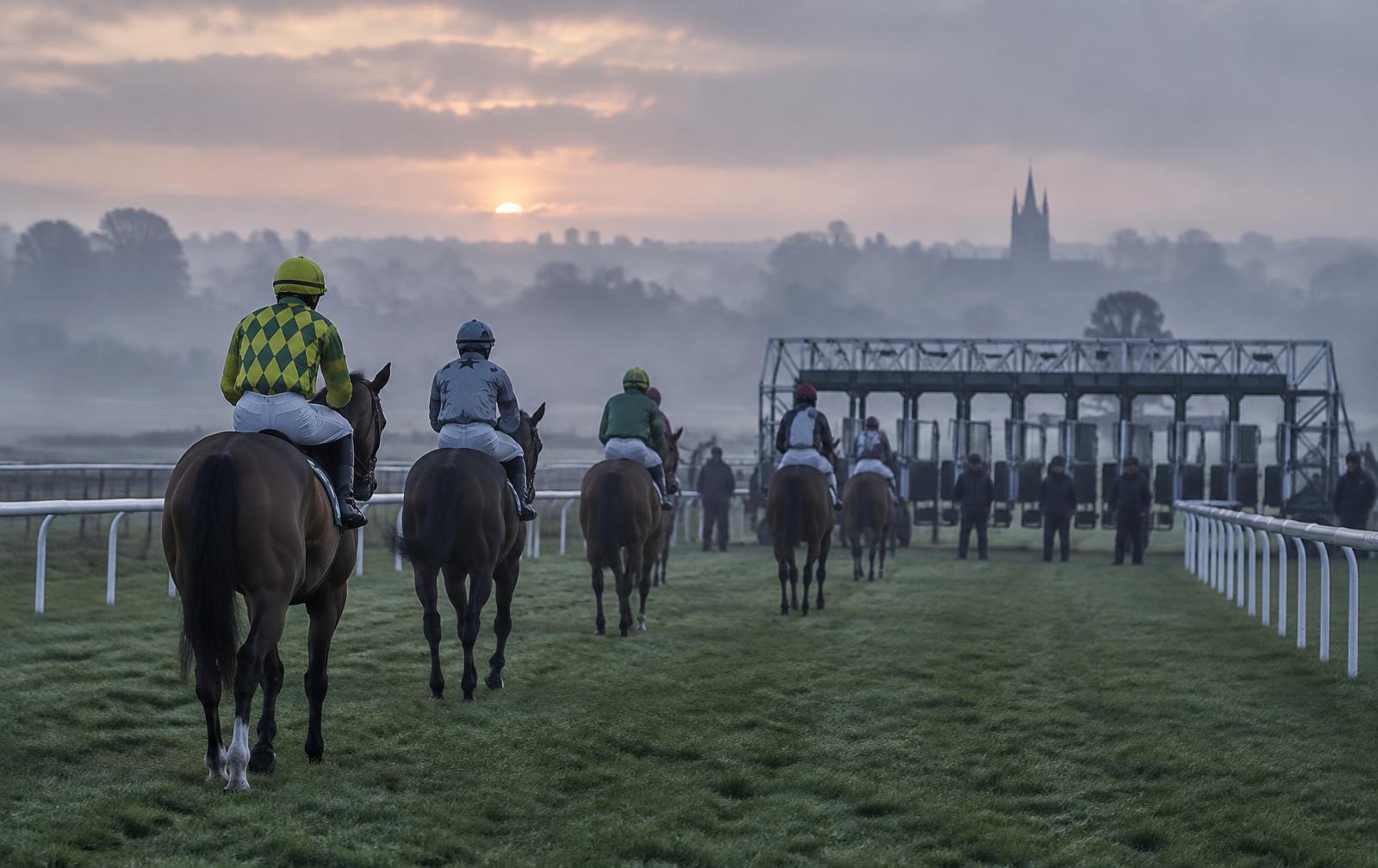 Racehorses approaching the starting stalls at dawn on an English racecourse